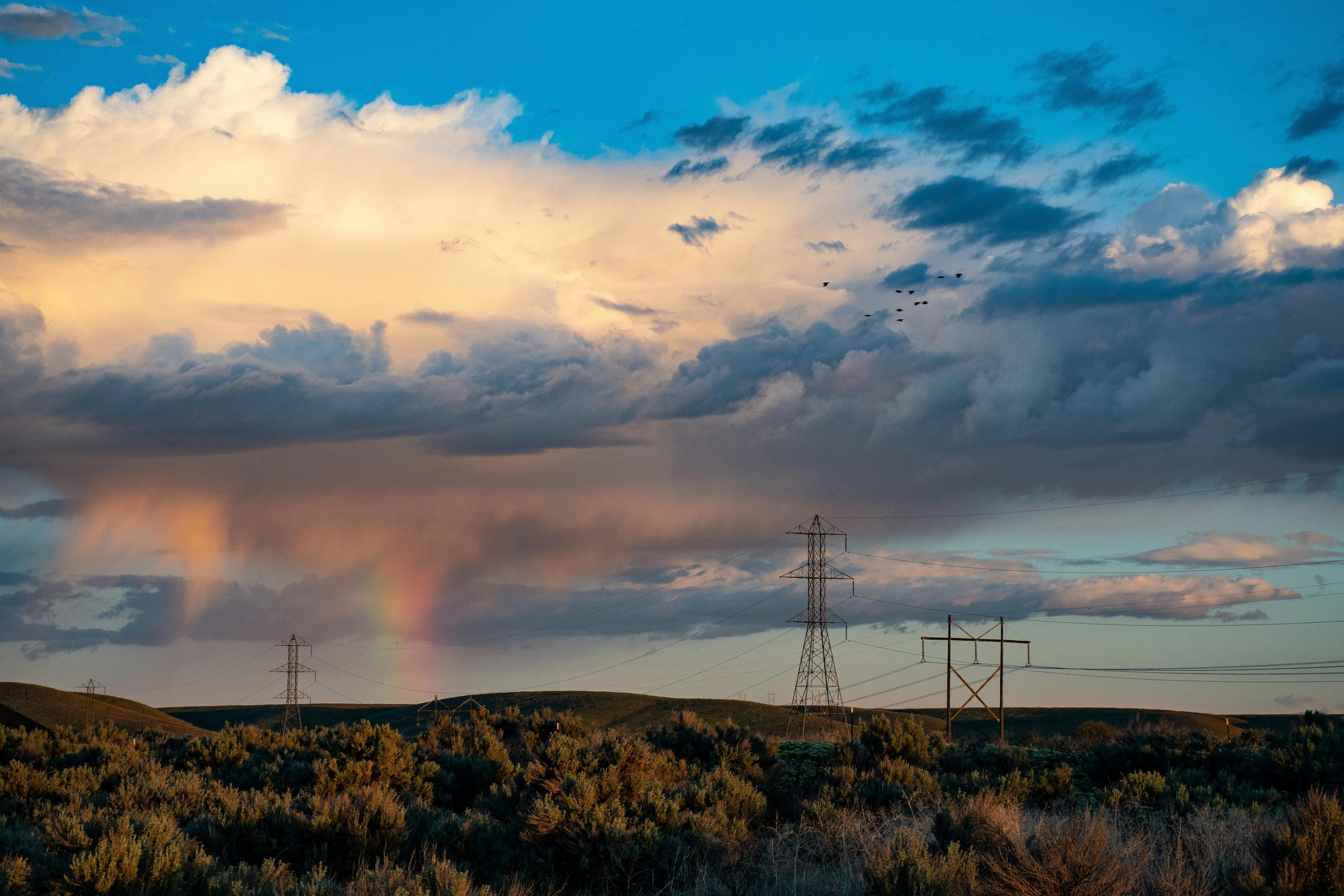 Power grid landscape at sunset